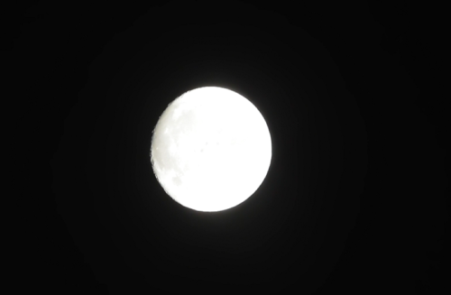 Supermoon dilihat dari langit Batam terlihat bulat sempurna dan sangat terang dan indah (foto milik terdepan.co.id)