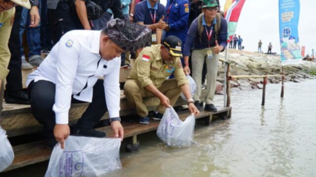 Bupati Karimun Dr. H. Aunur Rafiq bersama Kementerian Kelautan dan Perikanan RI yang diwakili Dirjen Penata ruang Laut Kepulauan Riau sedang menabur ikan di Jembatan Sanur