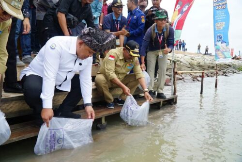 Bupati Karimun Dr. H. Aunur Rafiq bersama Kementerian Kelautan dan Perikanan RI yang diwakili Dirjen Penata ruang Laut Kepulauan Riau sedang menabur ikan di Jembatan Sanur